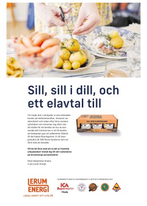 lerumstidning-20250618_000_00_00_007.pdf