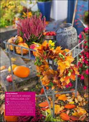 levaochbo-20151024_000_00_00_059.pdf