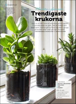 levaochbo-20160312_000_00_00_038.pdf
