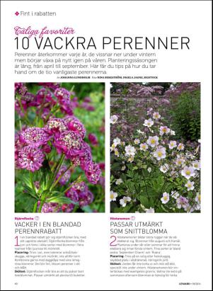 levaochbo-20160430_000_00_00_040.pdf