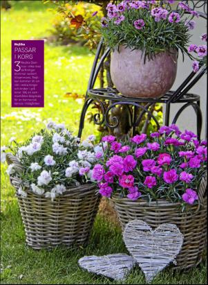 levaochbo-20160528_000_00_00_033.pdf