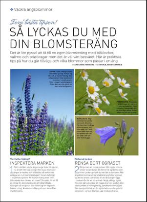 levaochbo-20160625_000_00_00_060.pdf