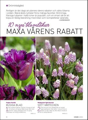 levaochbo-20161001_000_00_00_056.pdf