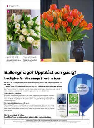 levaochbo-20170128_000_00_00_042.pdf