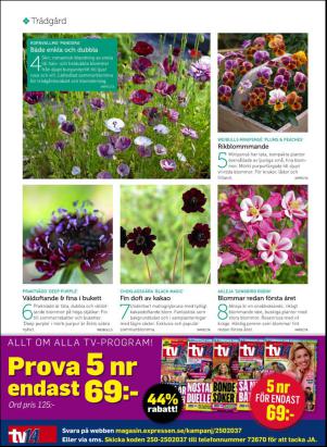 levaochbo-20170204_000_00_00_042.pdf