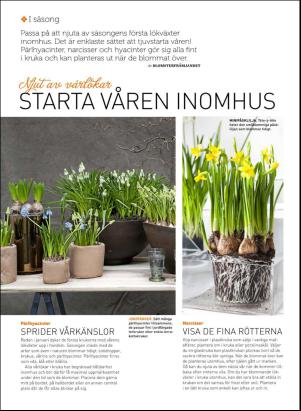 levaochbo-20170218_000_00_00_042.pdf