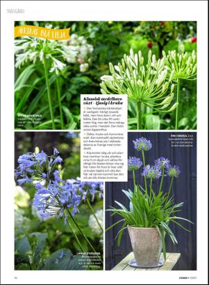 levaochbo-20170325_000_00_00_056.pdf