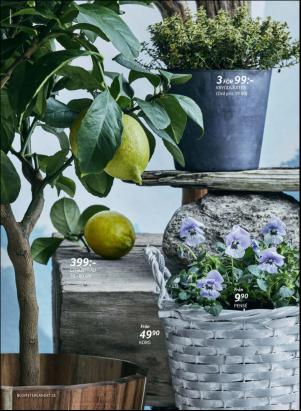 levaochbo-20170401_000_00_00_006.pdf