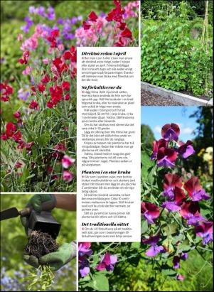 levaochbo-20170429_000_00_00_041.pdf