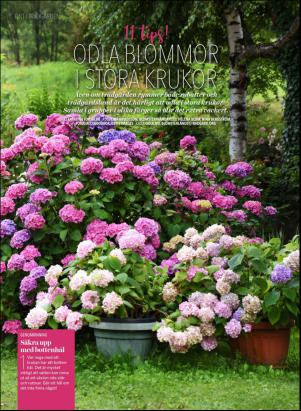 levaochbo-20170506_000_00_00_040.pdf