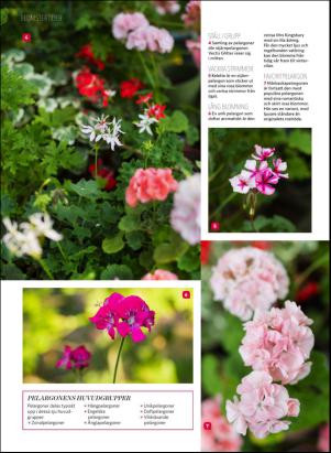 levaochbo-20170617_000_00_00_036.pdf