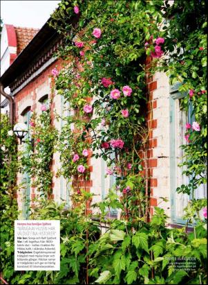 levaochbo-20170722_000_00_00_048.pdf