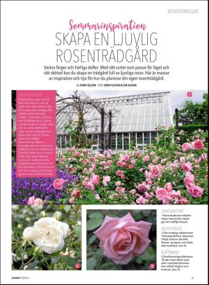 levaochbo-20170729_000_00_00_041.pdf