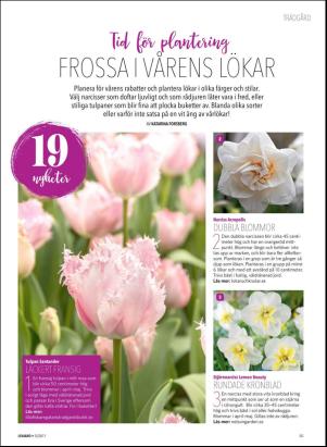 levaochbo-20170902_000_00_00_035.pdf