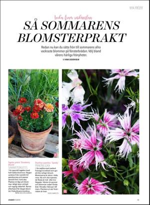 levaochbo-20180203_000_00_00_061.pdf