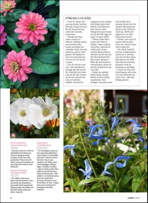 levaochbo-20180203_000_00_00_062.pdf