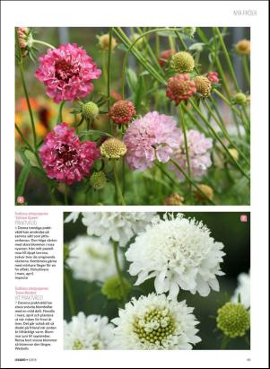 levaochbo-20180203_000_00_00_063.pdf