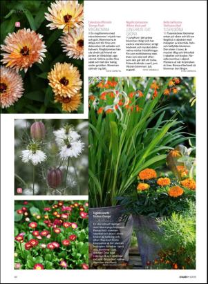 levaochbo-20180203_000_00_00_064.pdf