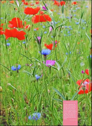 levaochbo-20180203_000_00_00_065.pdf