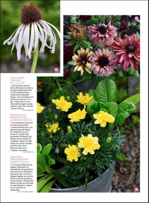 levaochbo-20180203_000_00_00_066.pdf