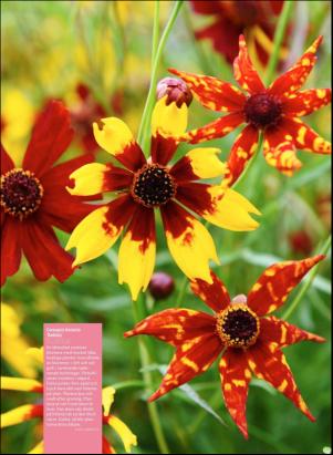 levaochbo-20180203_000_00_00_067.pdf