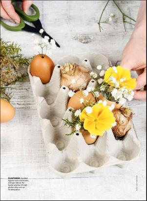 levaochbo-20180217_000_00_00_059.pdf