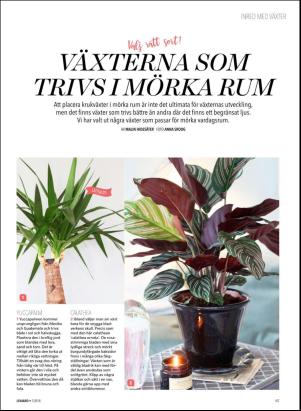 levaochbo-20180217_000_00_00_067.pdf