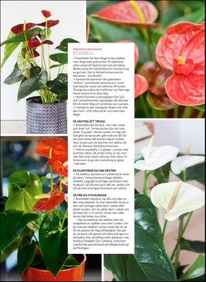 levaochbo-20180217_000_00_00_073.pdf