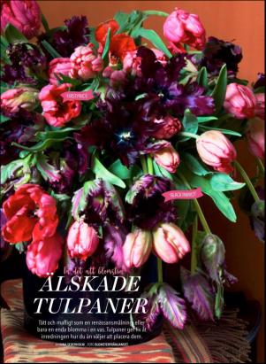 levaochbo-20180224_000_00_00_032.pdf