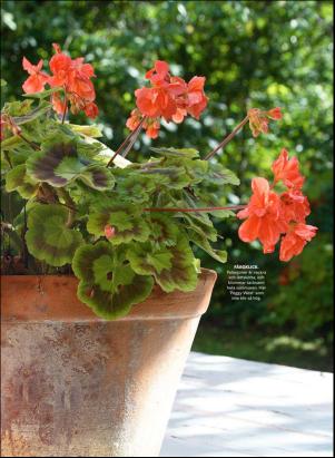 levaochbo-20180303_000_00_00_059.pdf