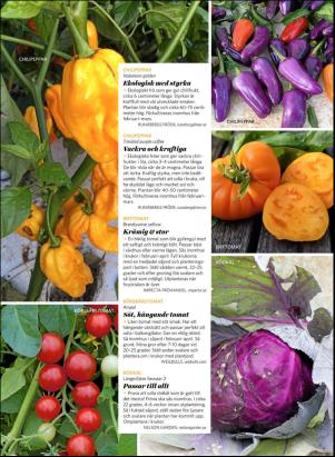 levaochbo-20180303_000_00_00_063.pdf