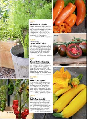 levaochbo-20180303_000_00_00_064.pdf