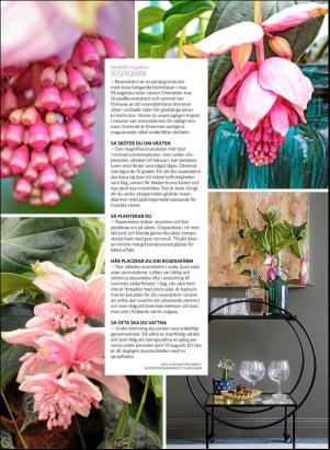 levaochbo-20180310_000_00_00_043.pdf