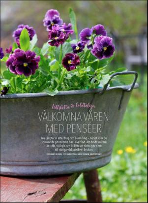 levaochbo-20180317_000_00_00_040.pdf