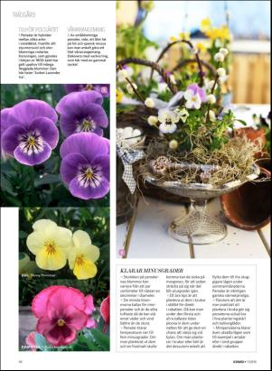 levaochbo-20180317_000_00_00_042.pdf