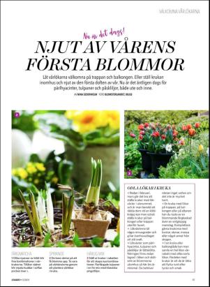 levaochbo-20180324_000_00_00_037.pdf