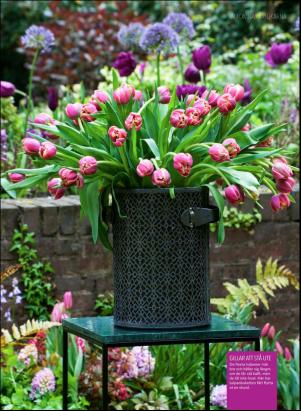 levaochbo-20180324_000_00_00_039.pdf