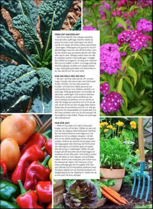 levaochbo-20180324_000_00_00_070.pdf