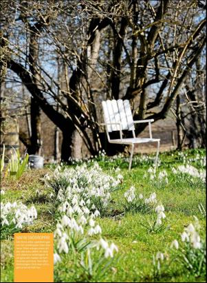 levaochbo-20180331_000_00_00_070.pdf