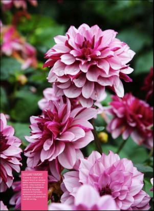 levaochbo-20180421_000_00_00_054.pdf