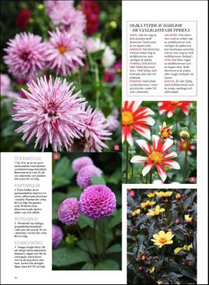 levaochbo-20180421_000_00_00_056.pdf