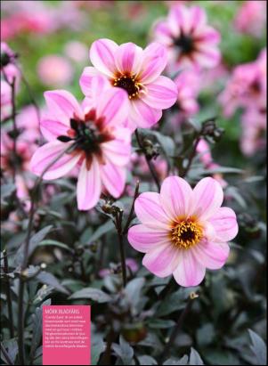 levaochbo-20180421_000_00_00_058.pdf