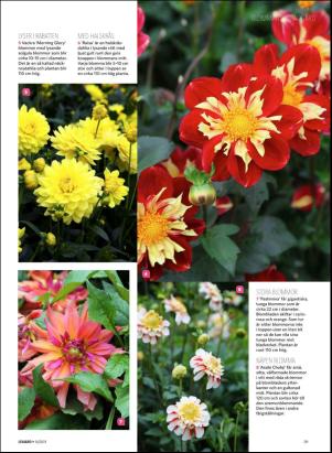 levaochbo-20180421_000_00_00_059.pdf