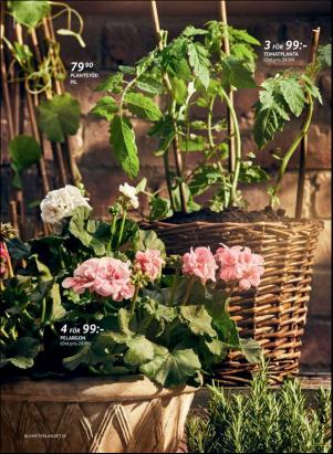 levaochbo-20180505_000_00_00_008.pdf