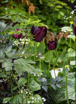 levaochbo-20180505_000_00_00_048.pdf