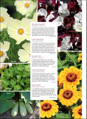 levaochbo-20180505_000_00_00_064.pdf