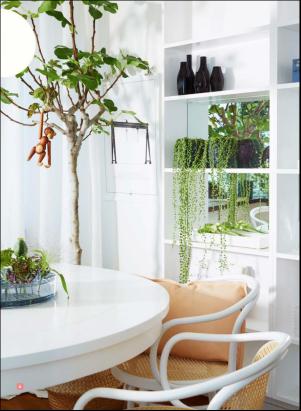 levaochbo-20180512_000_00_00_043.pdf