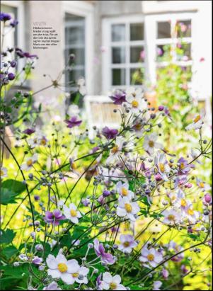 levaochbo-20180512_000_00_00_049.pdf