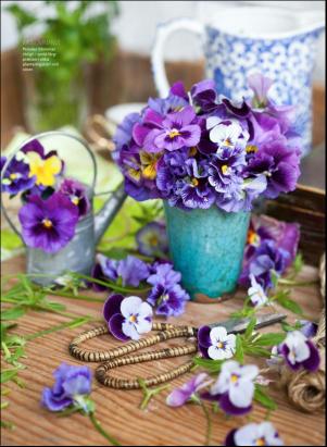 levaochbo-20180512_000_00_00_064.pdf