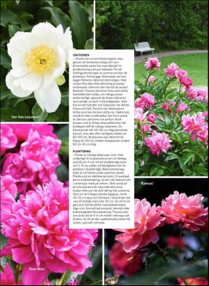 levaochbo-20180518_000_00_00_065.pdf